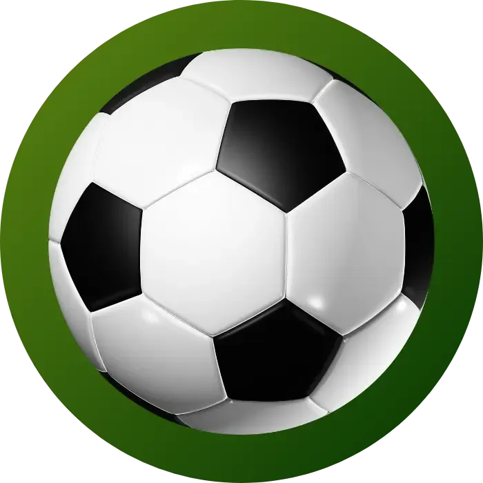 Soccer Turf Fields