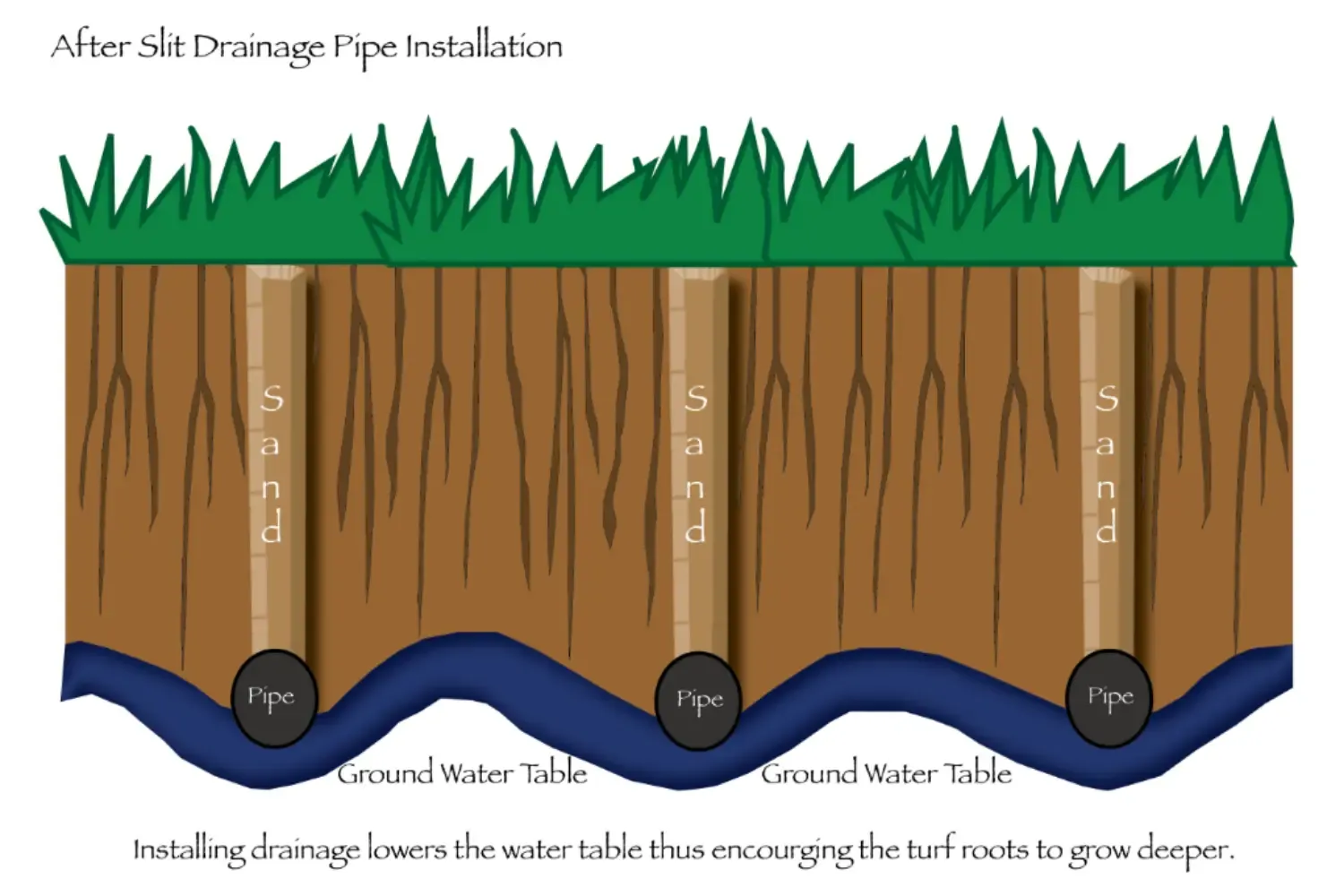 Integrated drainage system