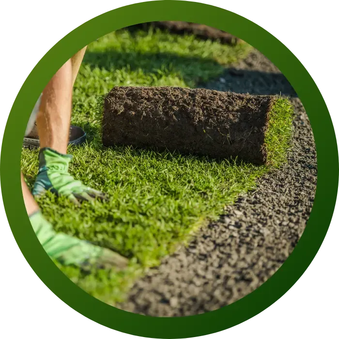 Turf installation & detailing