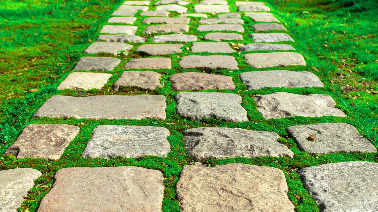 Stepping Stones