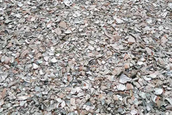 Crushed Oyster Shell / Bocce Blend