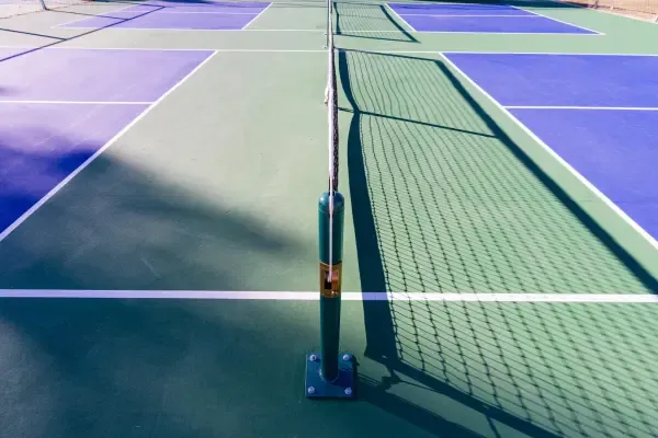 Integrated Perimeter Net Posts
