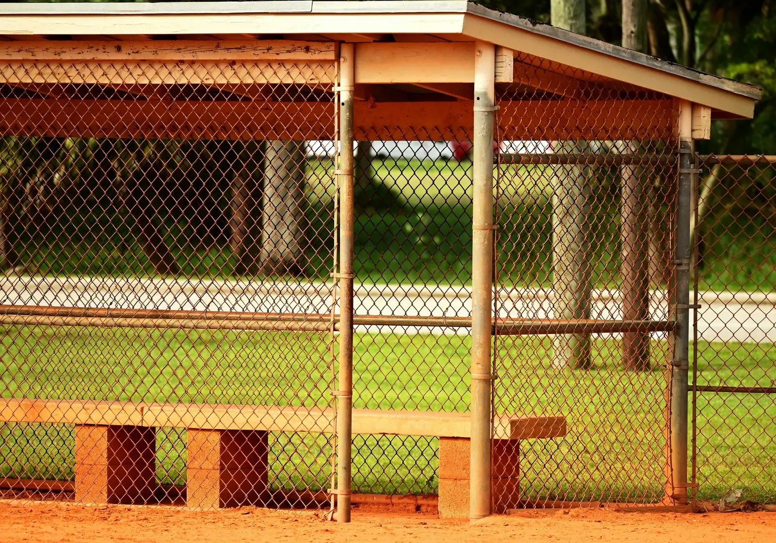 Dugout & Warning Track