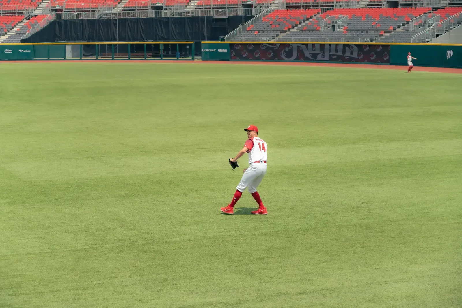Outfield Turf
