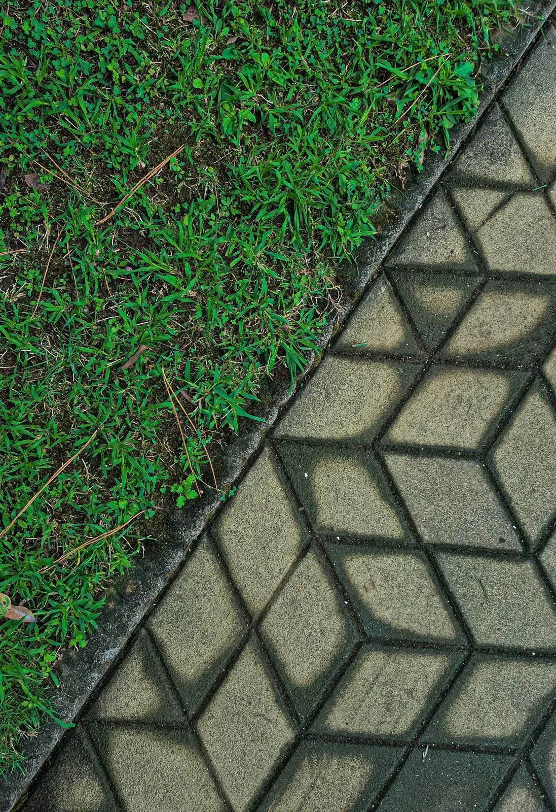 Modern Border & Edge