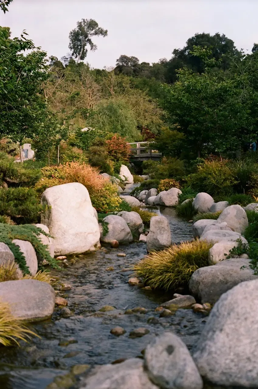 Naturalistic Creek