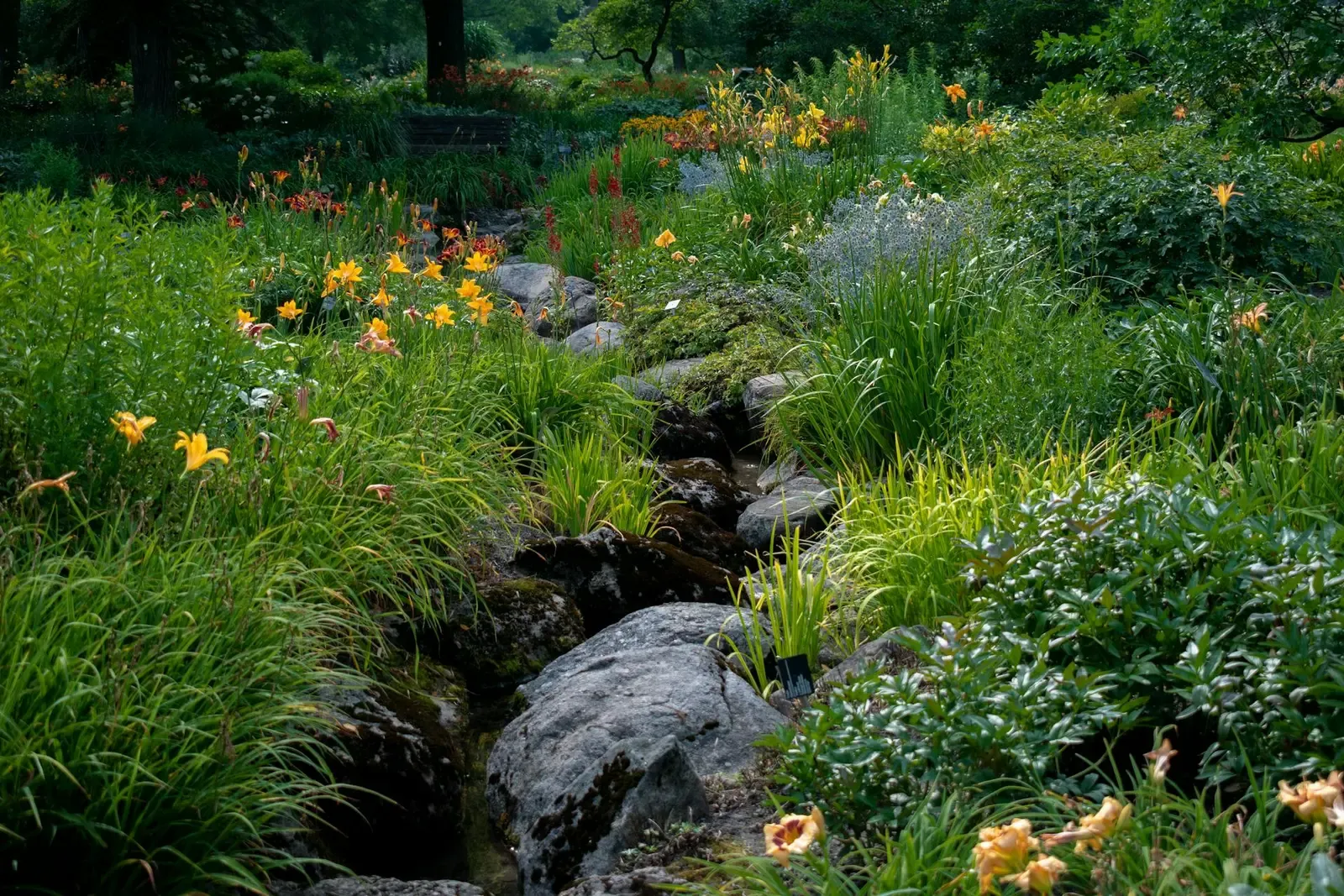 Garden Stream