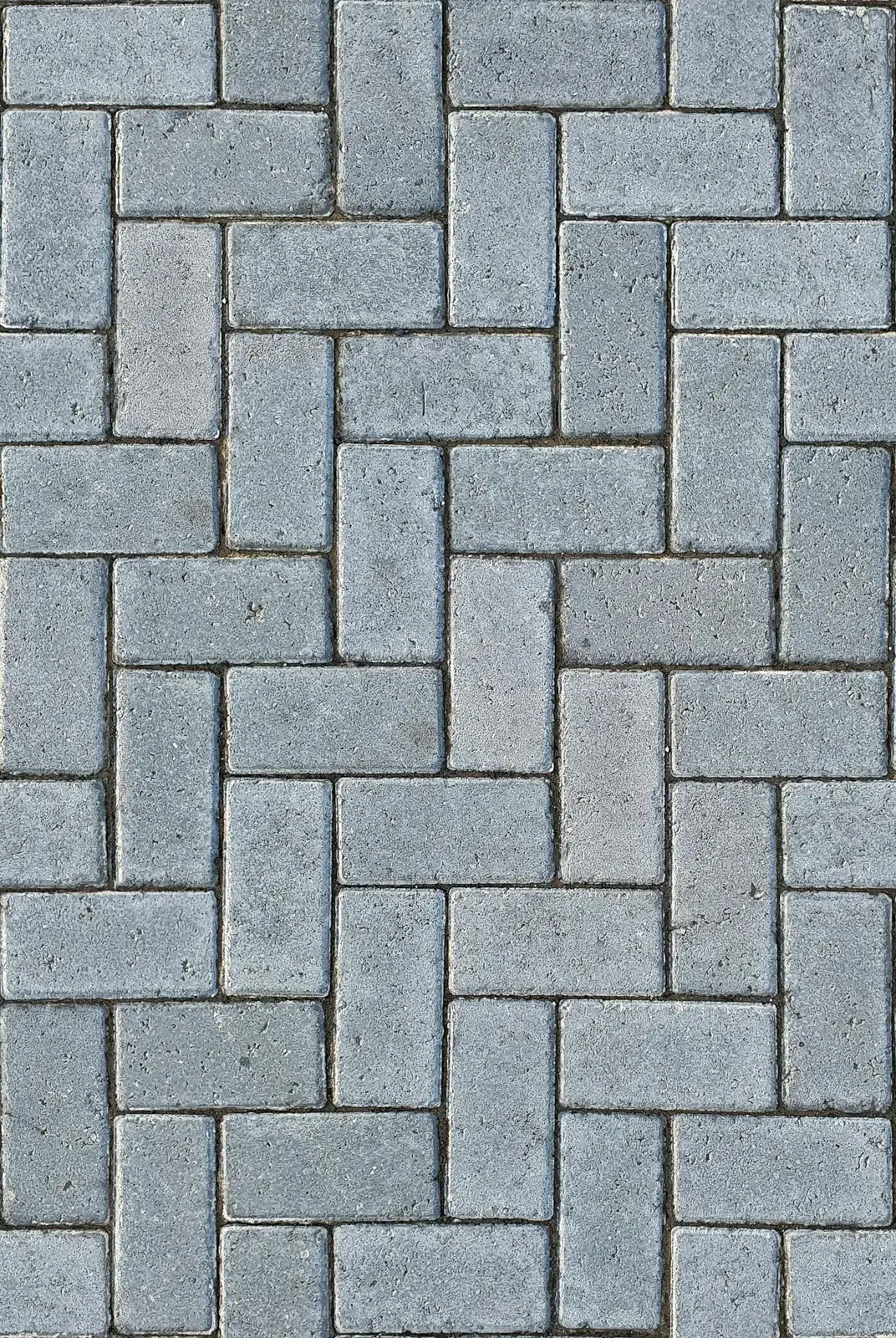 Holland Stone