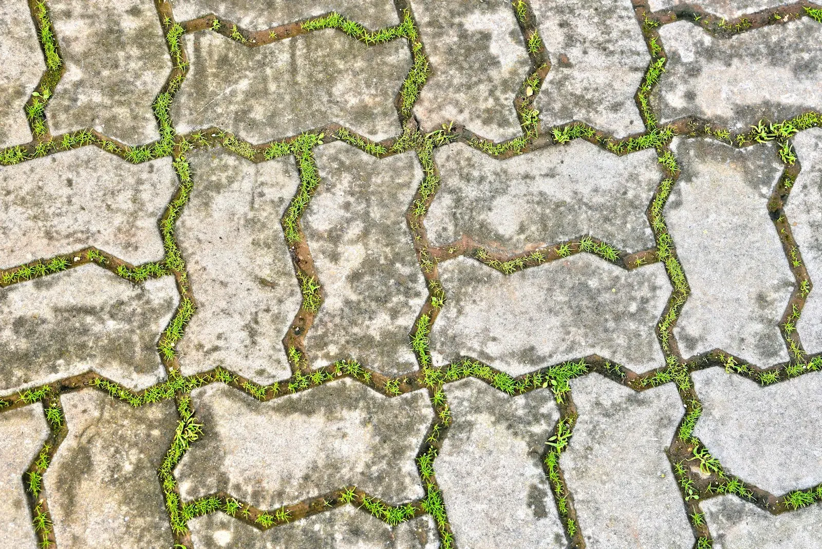 Permeable Eco