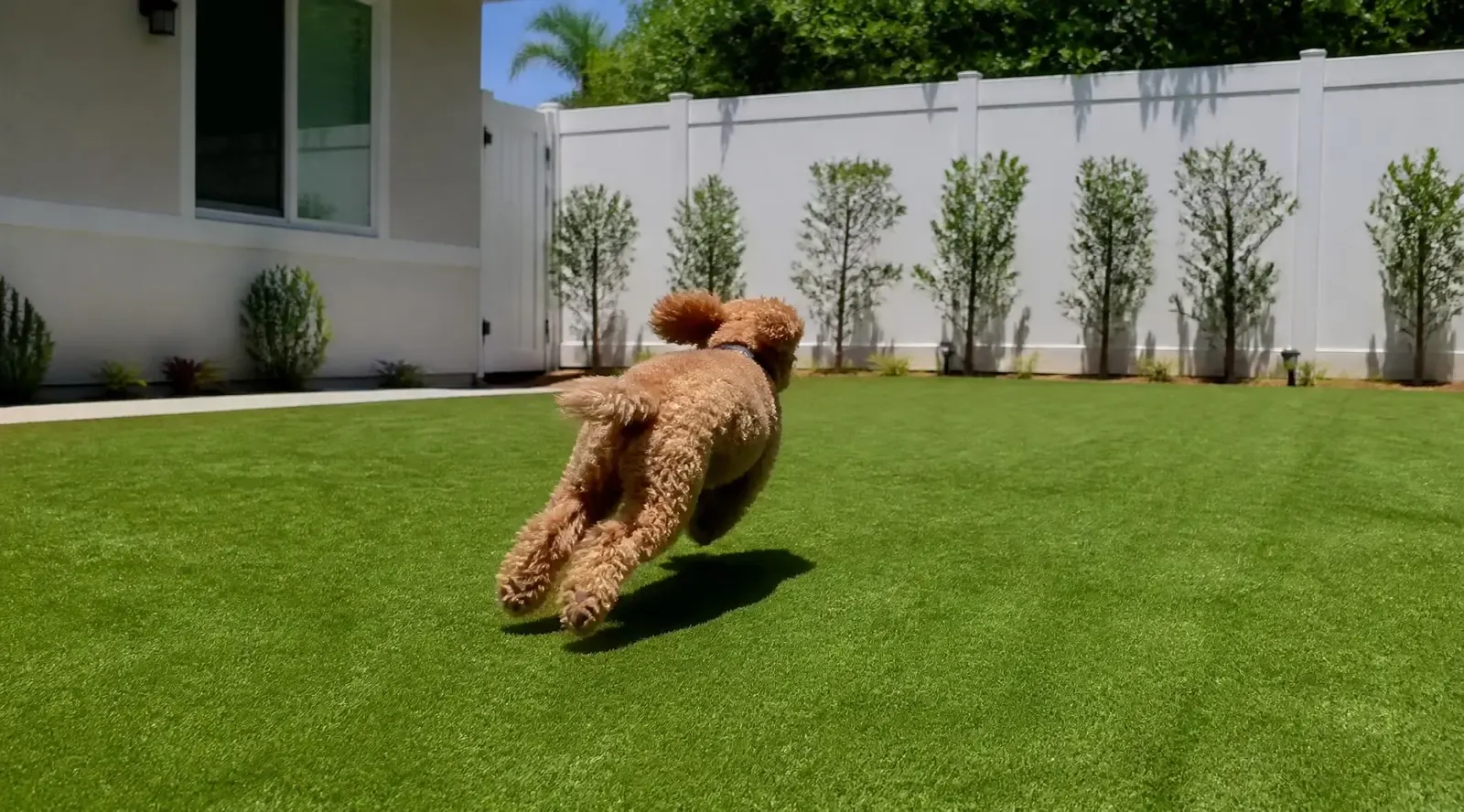 Completed pet turf installation with lush green surface