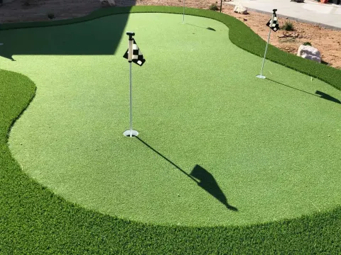Custom backyard putting green