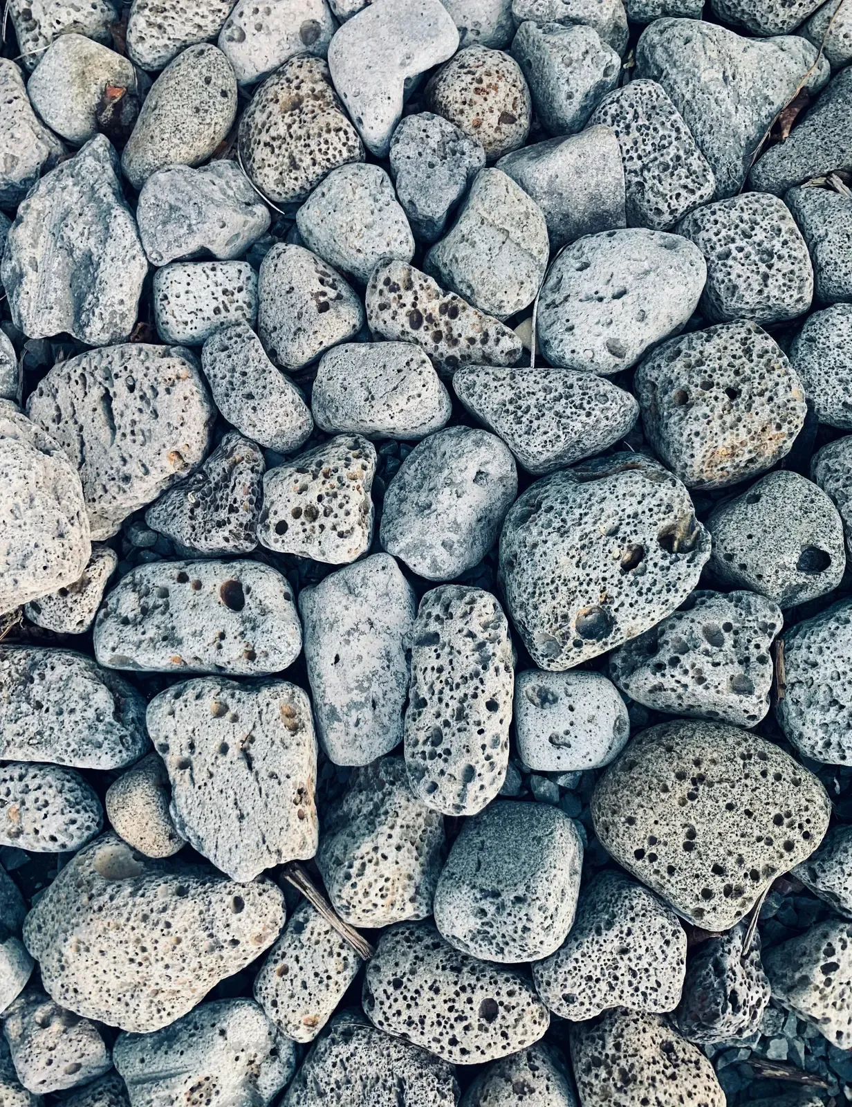 Black Lava