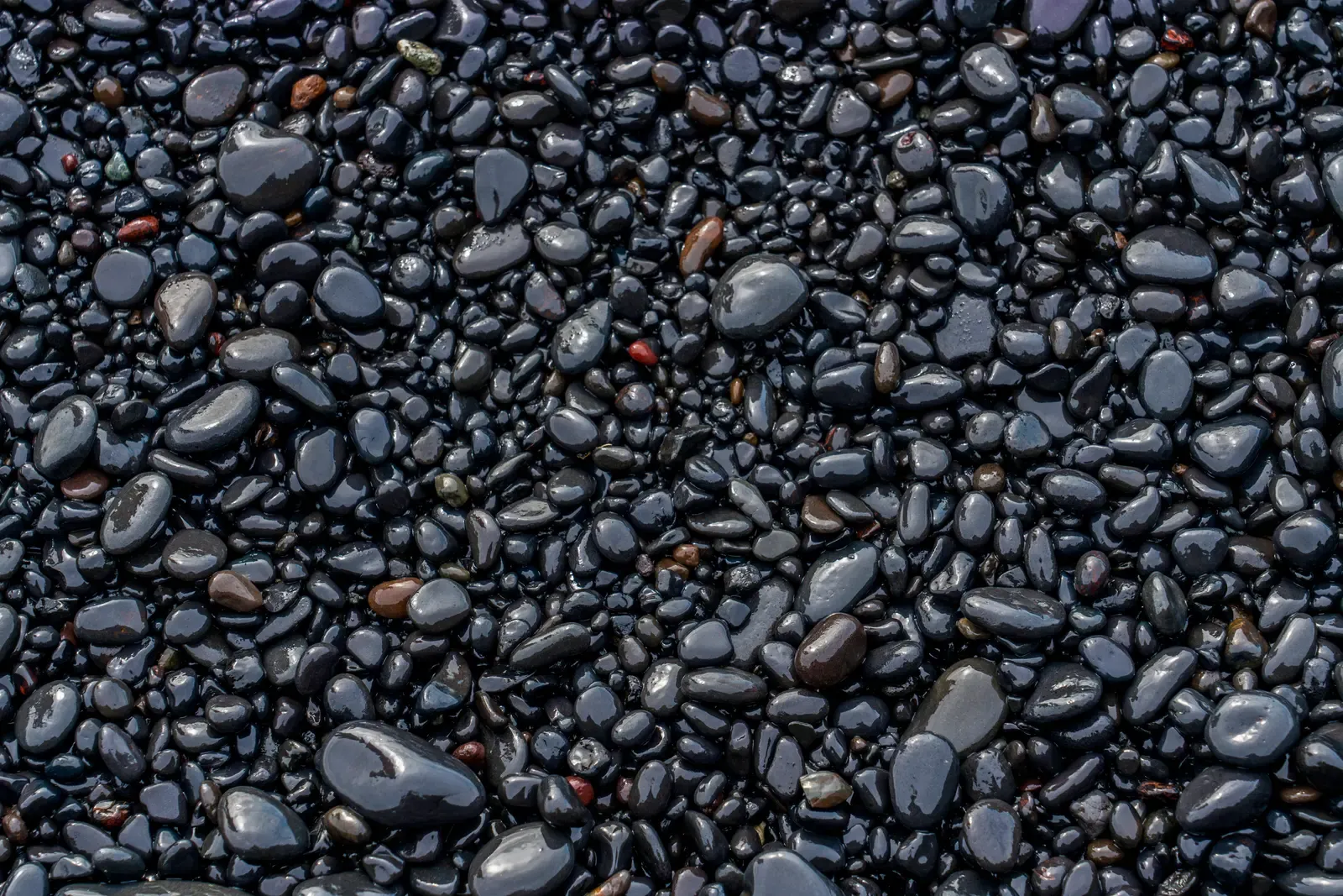 Mexican Beach Pebble